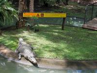Zoo Cairns