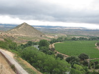 Weinberge im Ebro-Tal