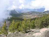 Pico de las Nieves