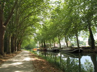 Canal du Midi, Voie Vert