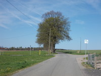 Abzweig Radweg
