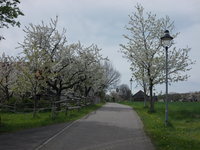 Pohrsdorf